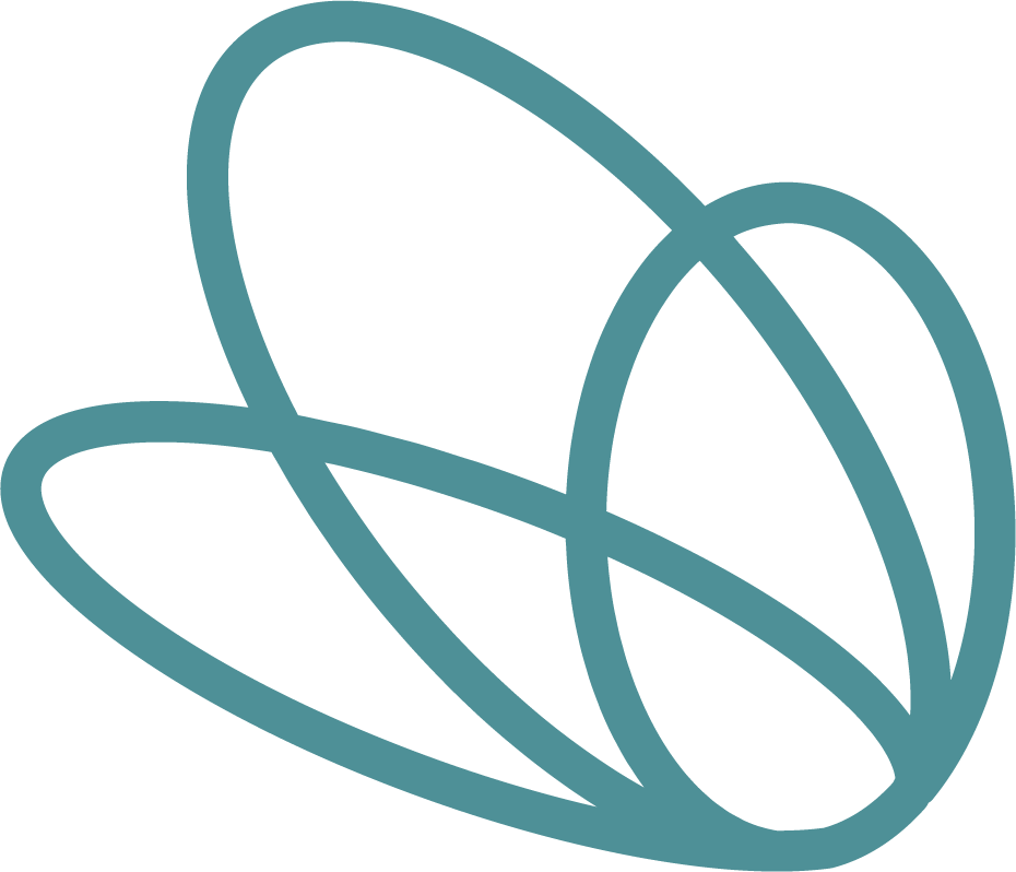 Digital Inclusion Logo Lines